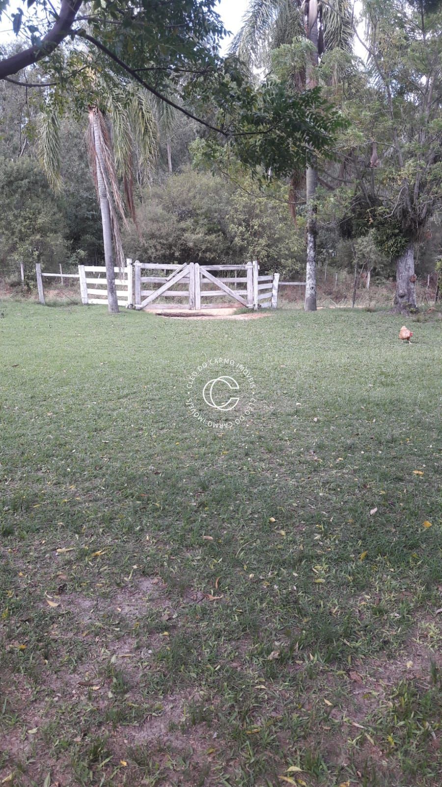 Chácara, 4 quartos, 3 hectares - Foto 2