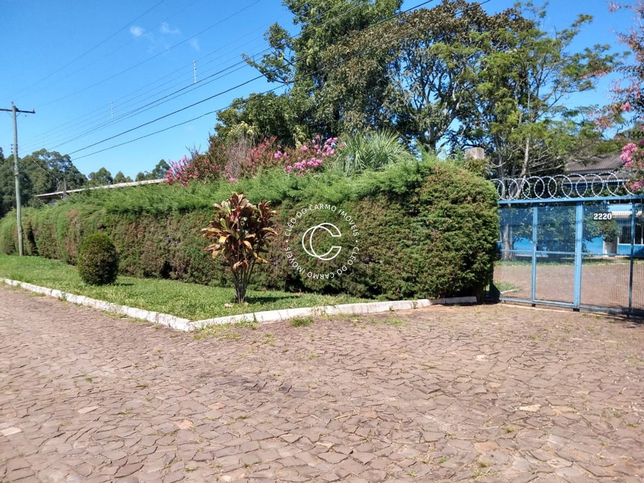 Chácara, 4 quartos, 3 hectares - Foto 9