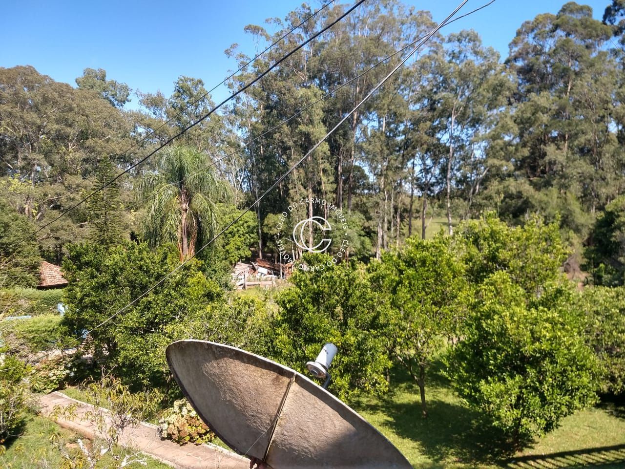 Chácara, 4 quartos, 3 hectares - Foto 5