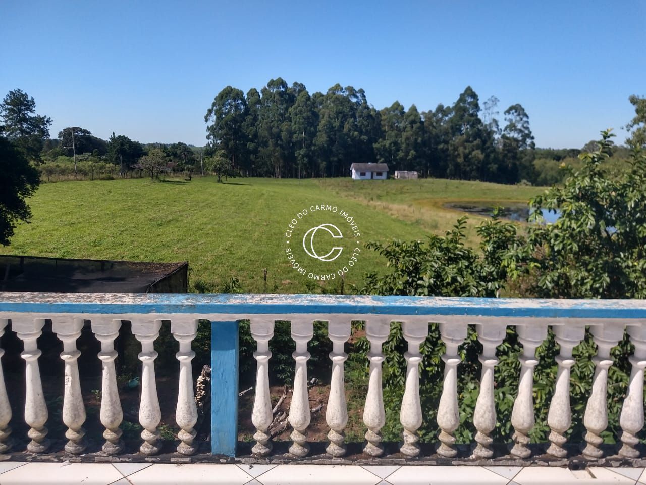 Fazenda à venda com 4 quartos, 30000m² - Foto 6