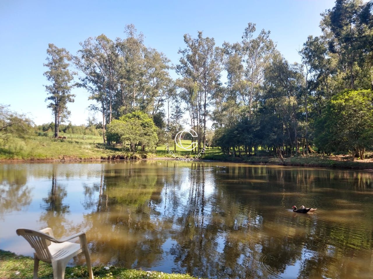 Chácara, 4 quartos, 3 hectares - Foto 7