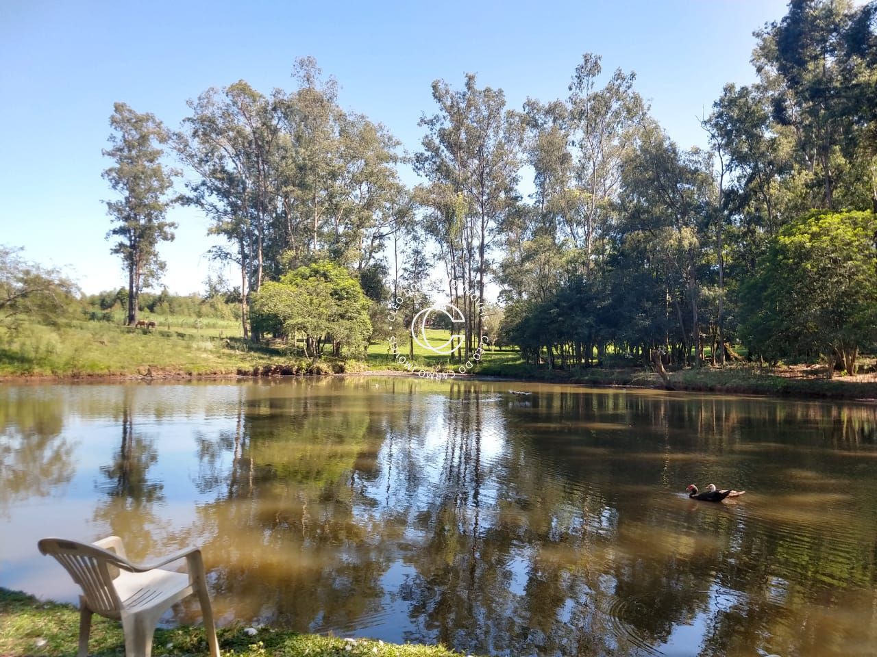 Fazenda à venda com 4 quartos, 30000m² - Foto 7