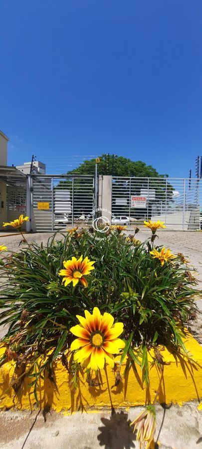 Apartamento, 2 quartos, 48 m² - Foto 11