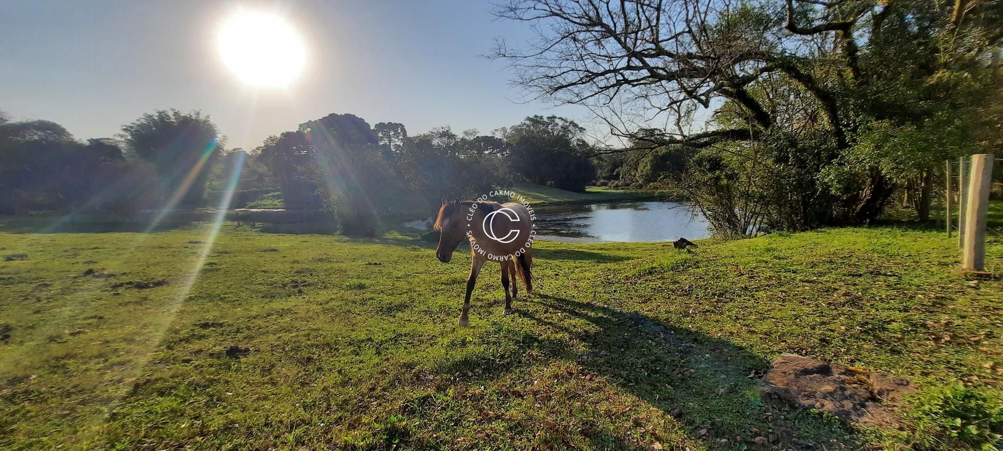 Fazenda à venda com 3 quartos, 17200m² - Foto 14