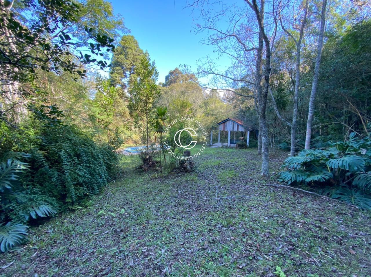 Chácara, 4 quartos, 4500 m² - Foto 6