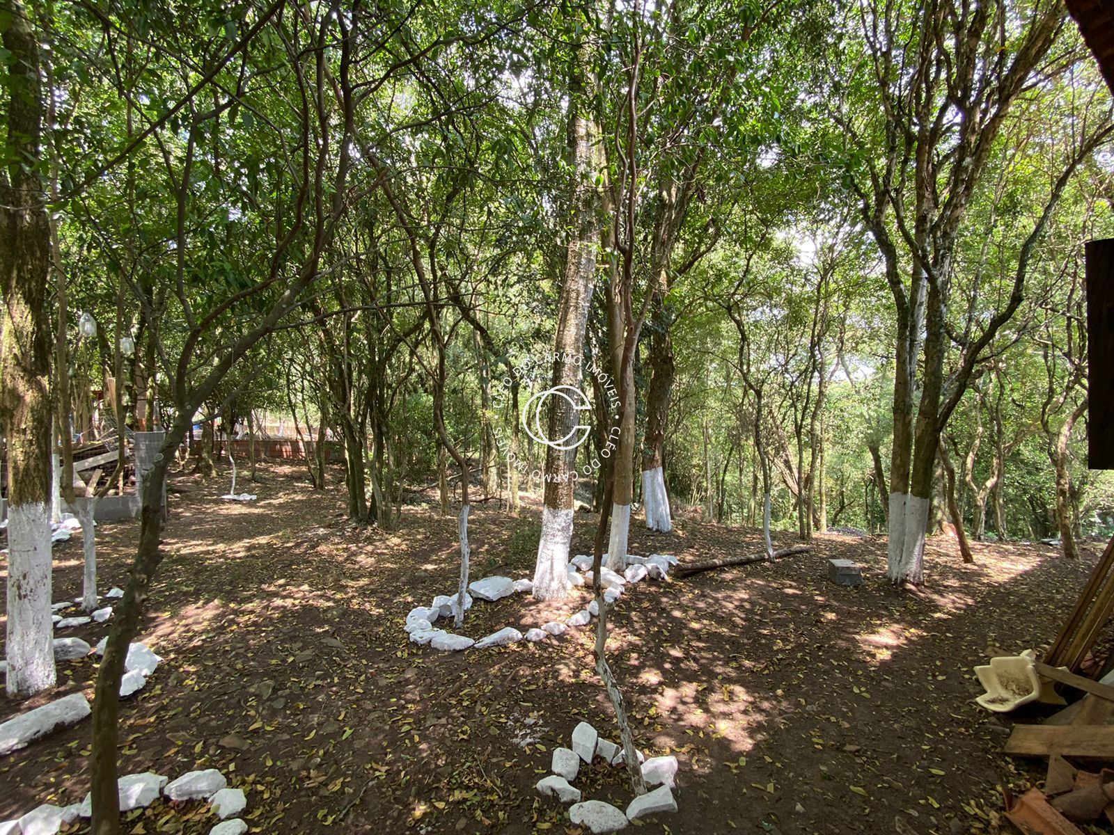 Chácara à venda com 4 quartos, 200m² - Foto 22
