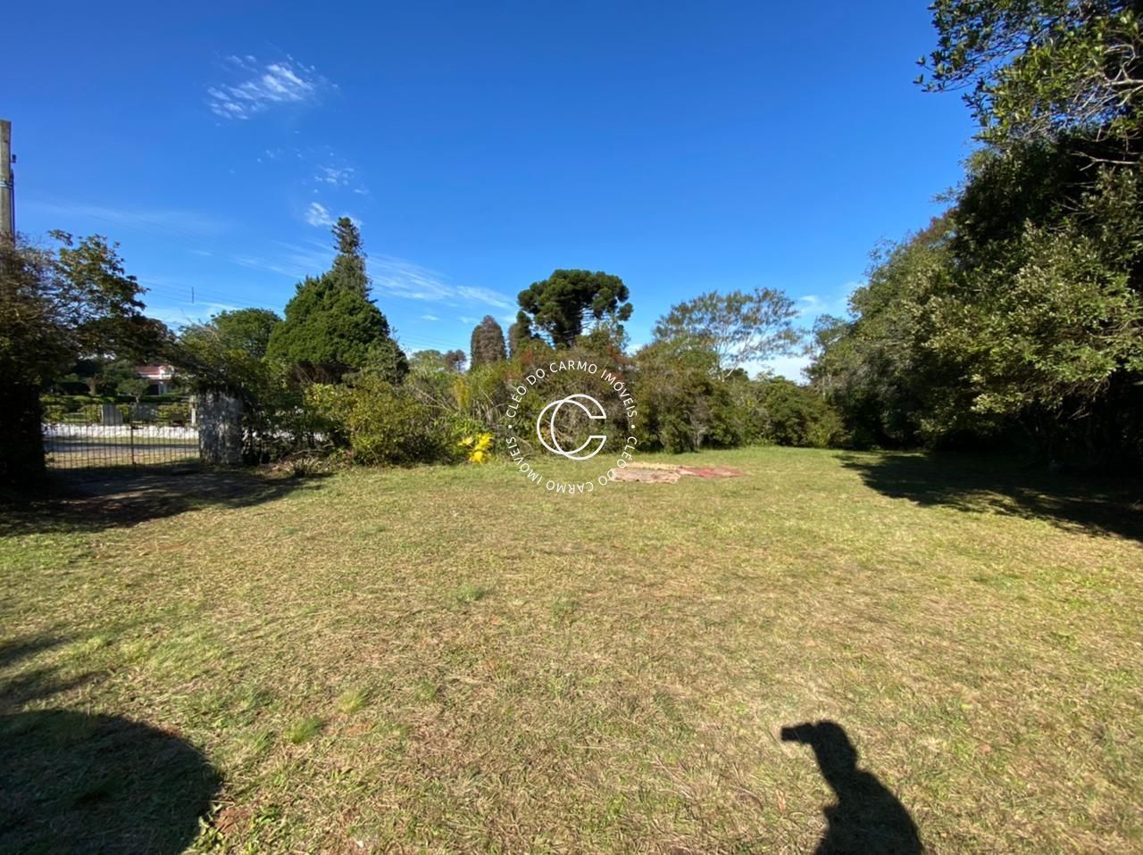 Chácara, 4 quartos, 4500 m² - Foto 5