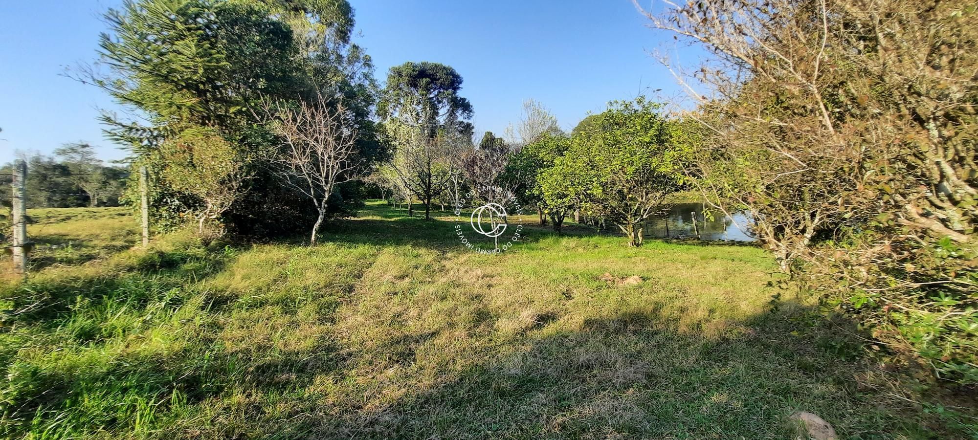 Chácara, 3 quartos, 2 hectares - Foto 6