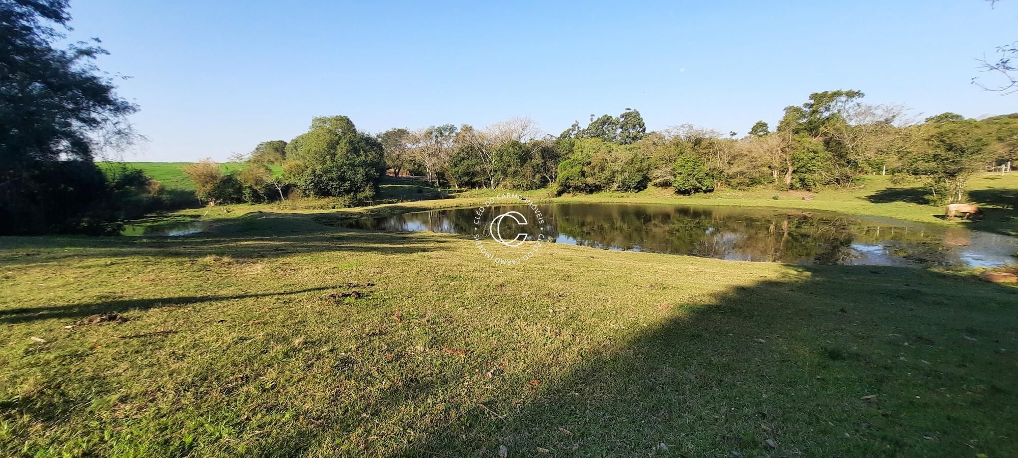 Fazenda à venda com 3 quartos, 17200m² - Foto 9