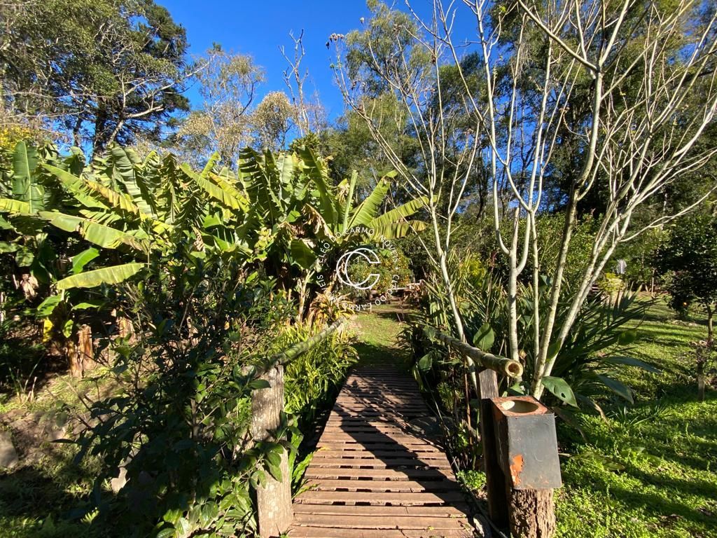 Fazenda à venda com 2 quartos, 20000m² - Foto 15