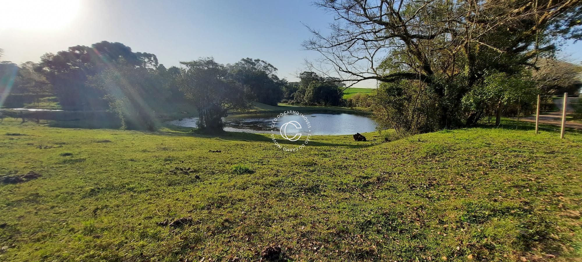 Fazenda à venda com 3 quartos, 17200m² - Foto 10