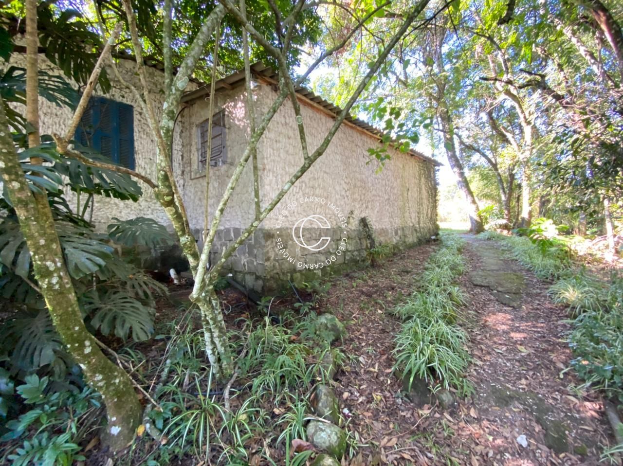 Fazenda à venda com 4 quartos, 4500m² - Foto 3