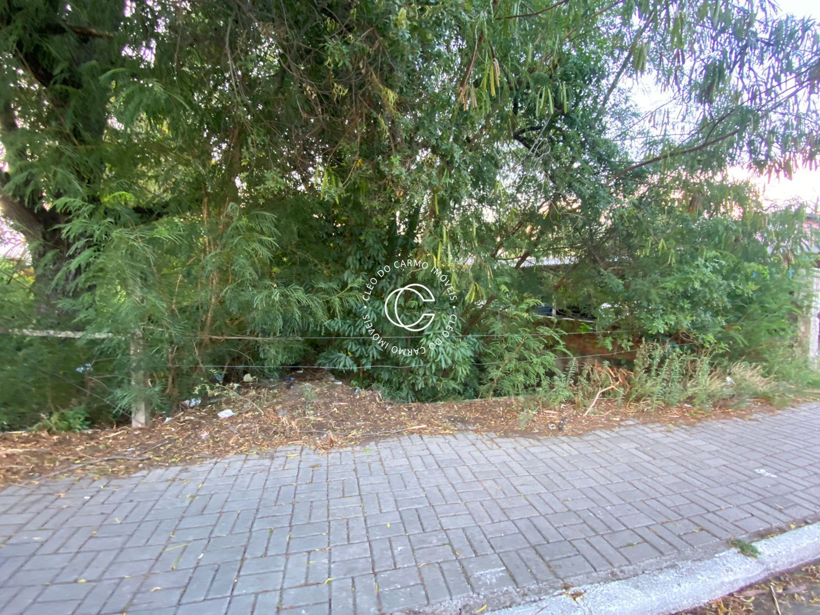 Terreno, 800 m² - Foto 2