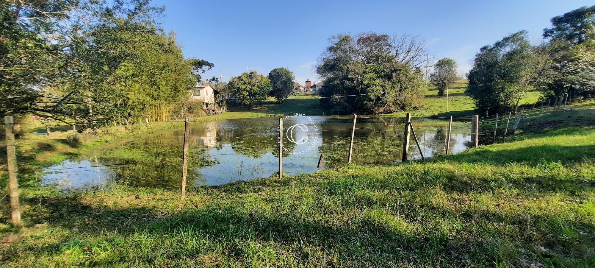 Fazenda à venda com 3 quartos, 17200m² - Foto 8