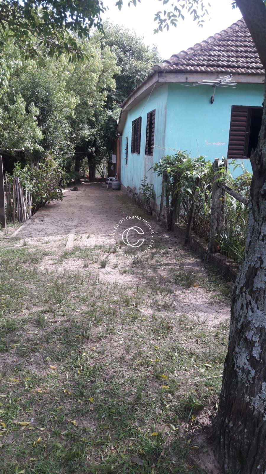 Chácara, 4 quartos, 3 hectares - Foto 5