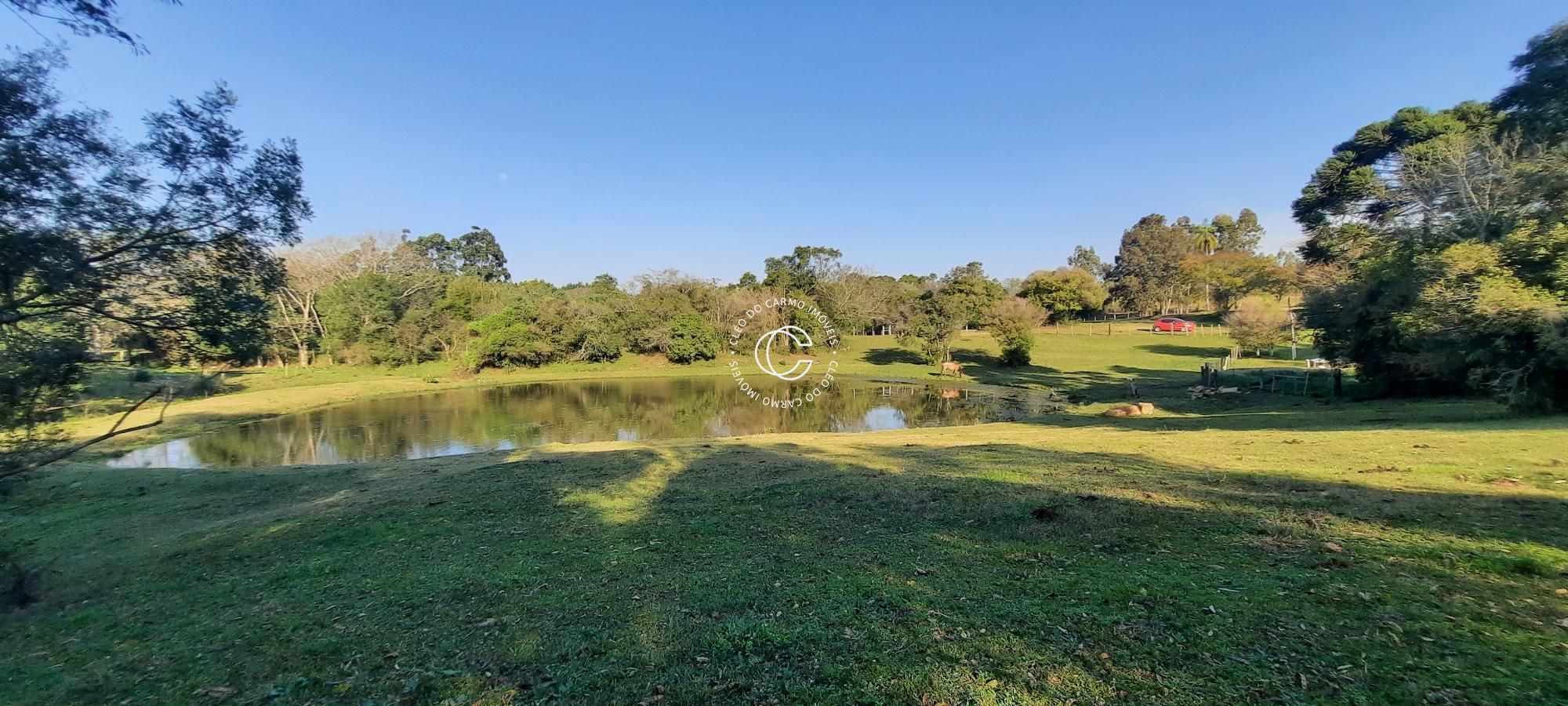 Fazenda à venda com 3 quartos, 17200m² - Foto 13