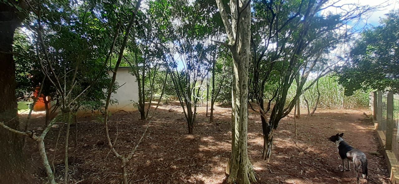 Chácara à venda, 3m² - Foto 6