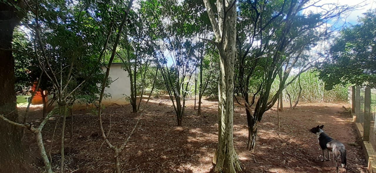 Fazenda à venda, 3m² - Foto 6