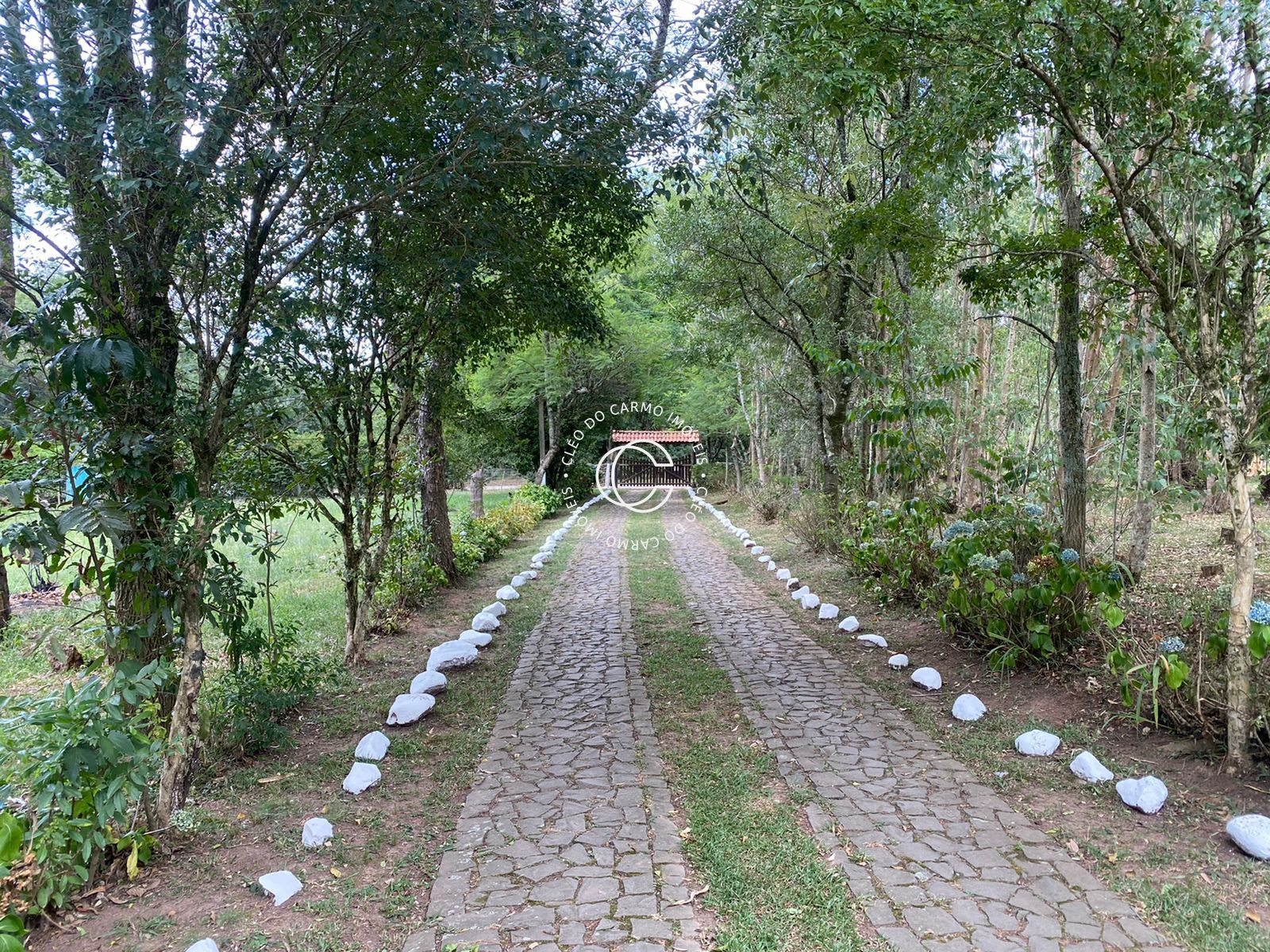 Chácara à venda com 4 quartos, 200m² - Foto 3