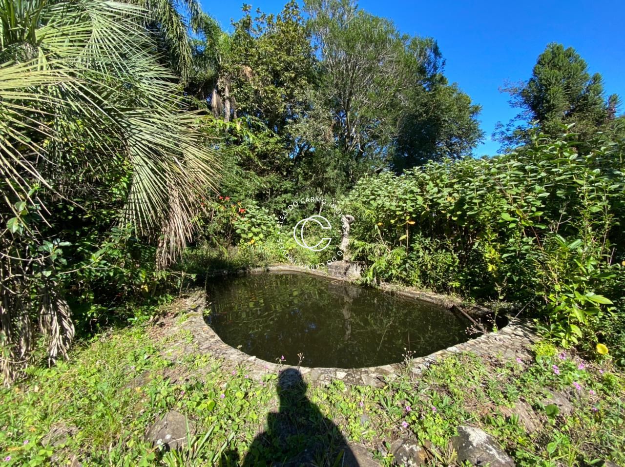 Fazenda à venda com 4 quartos, 4500m² - Foto 8