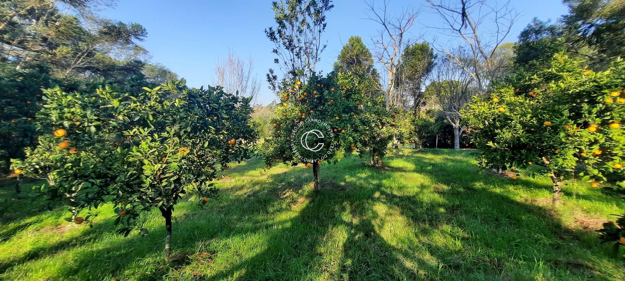 Chácara, 3 quartos, 2 hectares - Foto 7