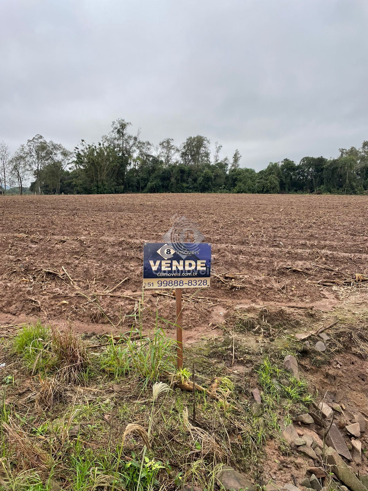 Terreno à venda, 3884m² - Foto 2