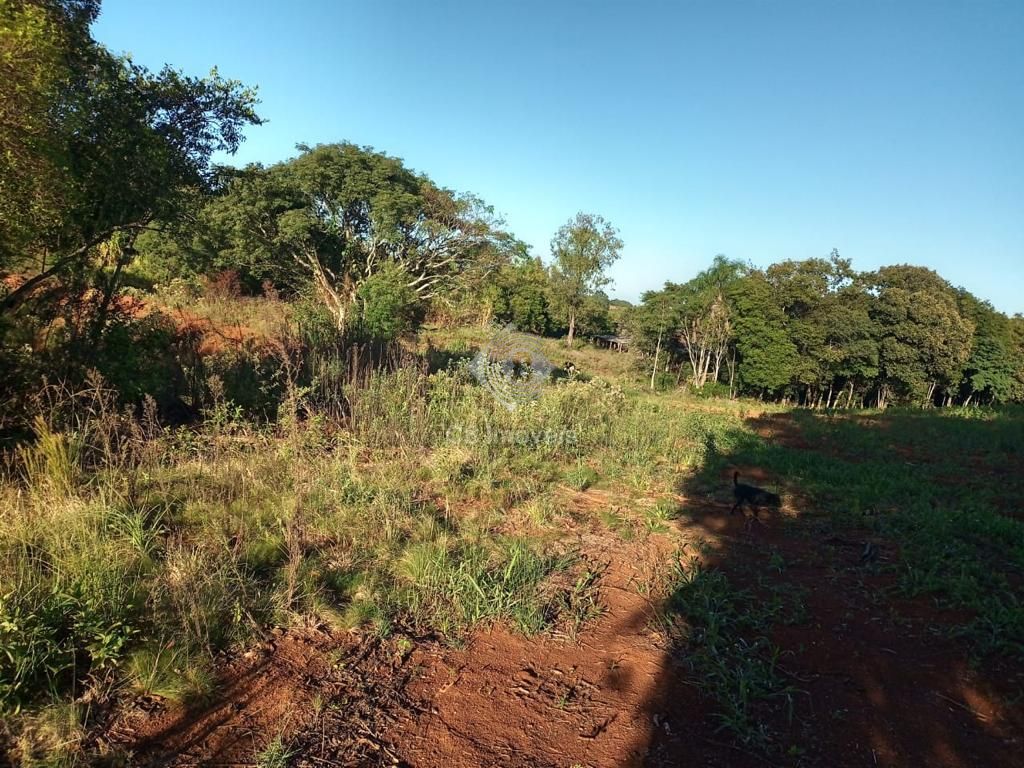 Chácara, 2 quartos, 80000 hectares - Foto 9