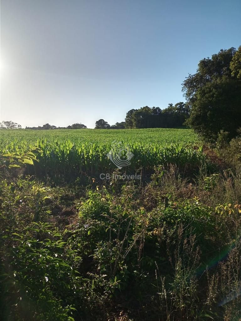 Fazenda à venda com 2 quartos, 800000000m² - Foto 13