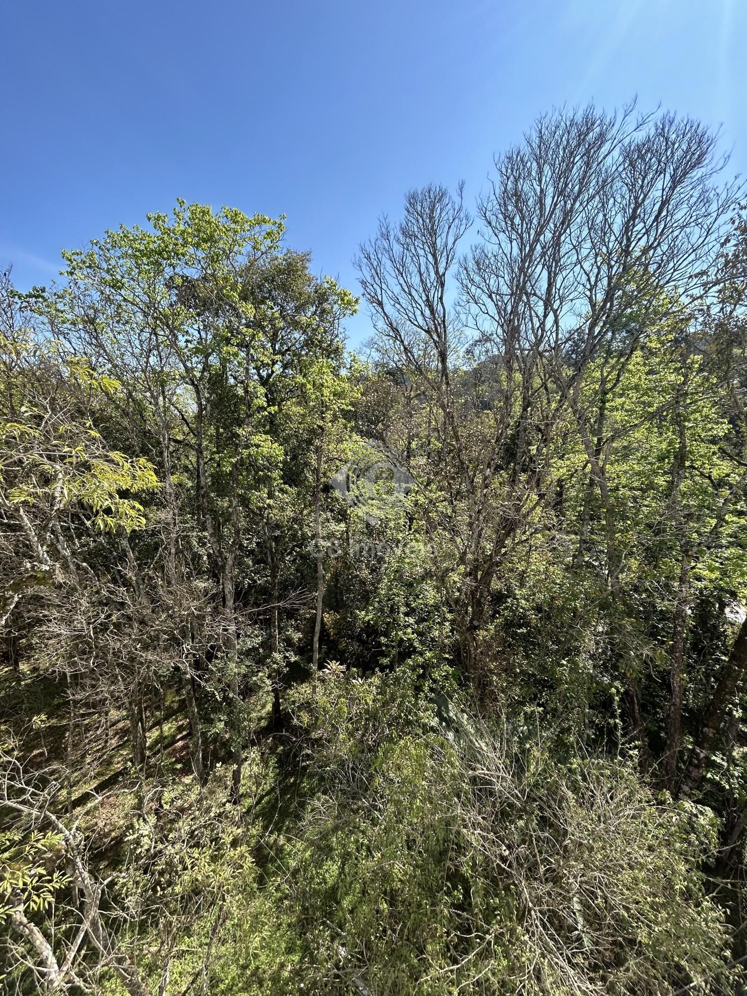 Apartamento, 2 quartos, 66 m² - Foto 6