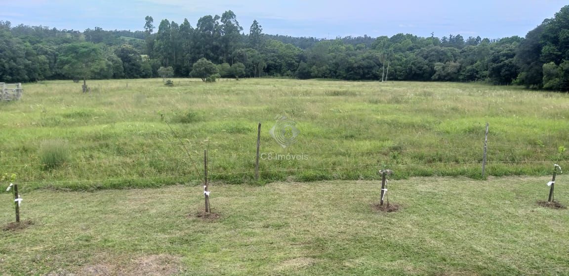 Fazenda à venda com 3 quartos, 150000000m² - Foto 19