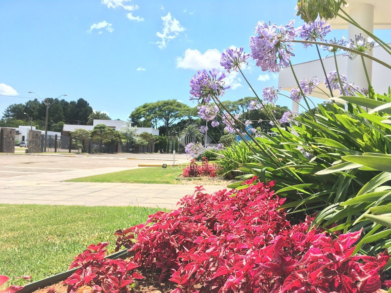 Terreno, 423 m² - Foto 11