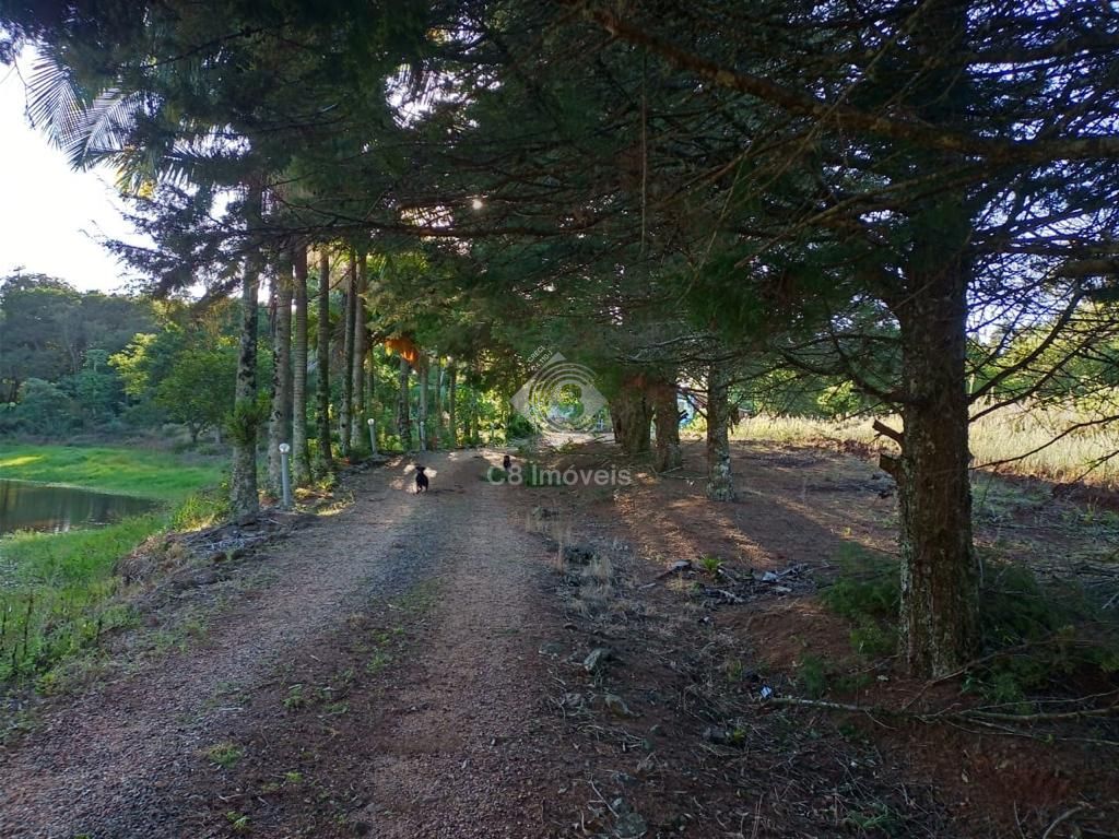 Fazenda à venda com 2 quartos, 800000000m² - Foto 2