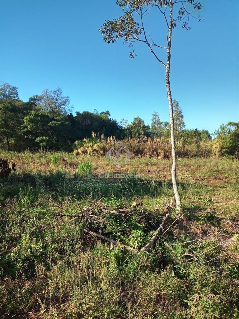 Chácara, 2 quartos, 80000 hectares - Foto 10