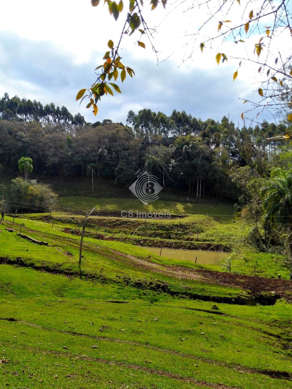 Fazenda à venda, 800000000m² - Foto 12