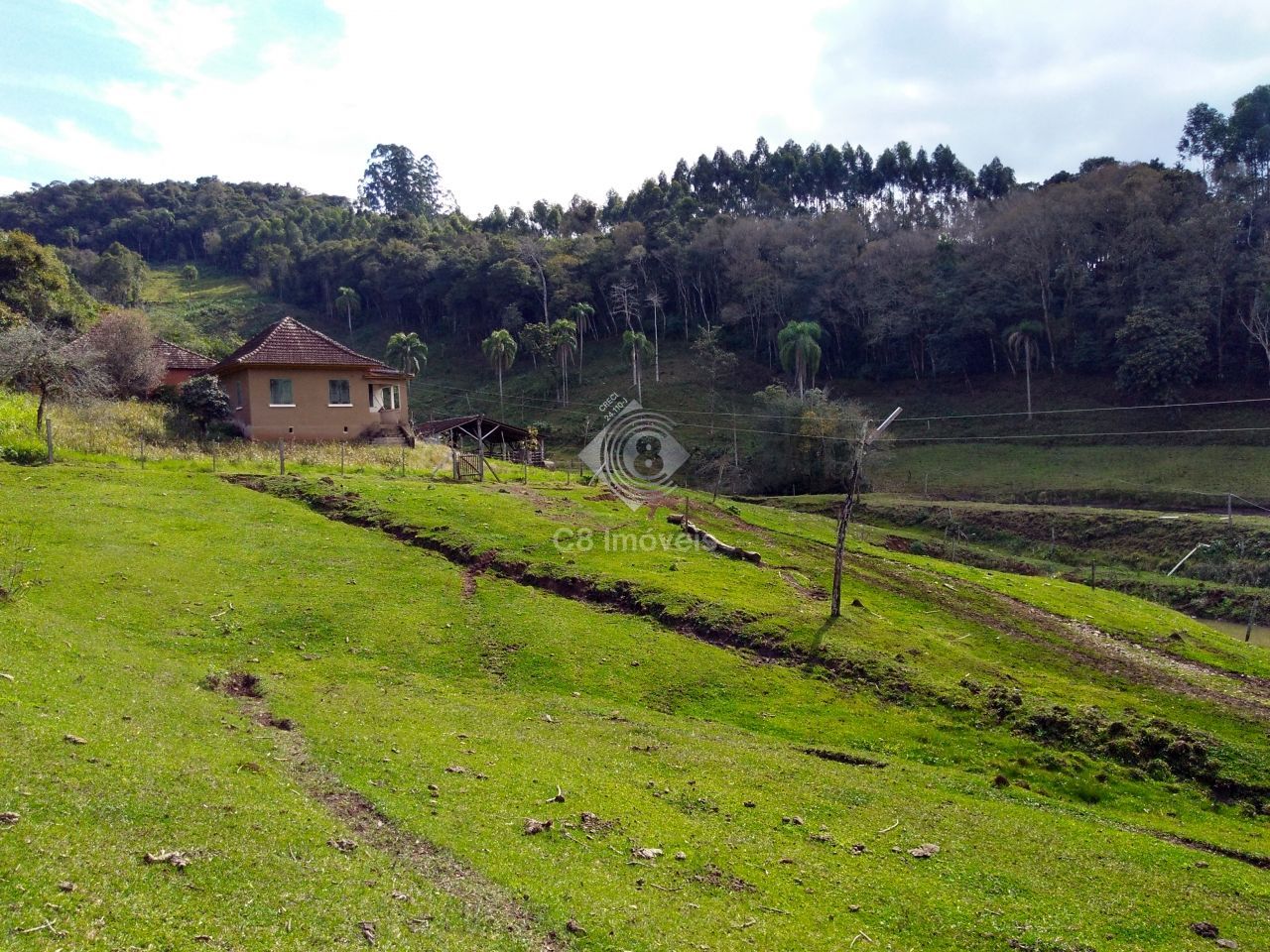 Fazenda à venda, 800000000m² - Foto 5