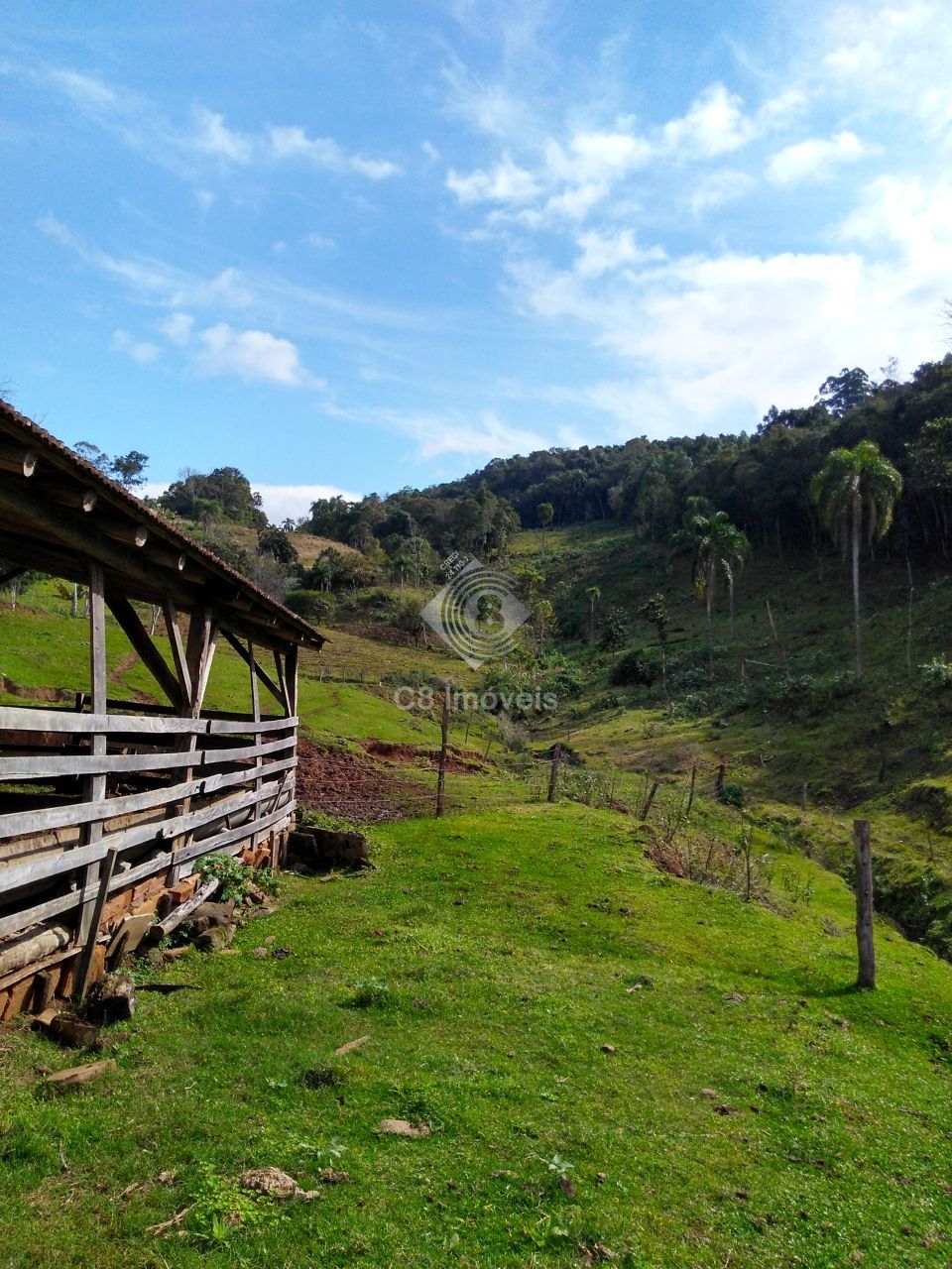 Fazenda à venda, 800000000m² - Foto 7