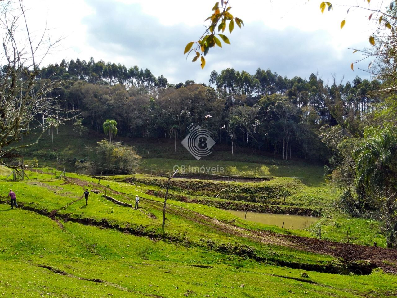 Fazenda à venda, 800000000m² - Foto 11