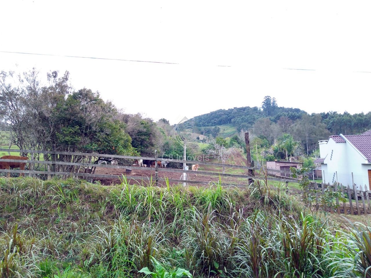 Fazenda à venda, 800000000m² - Foto 20