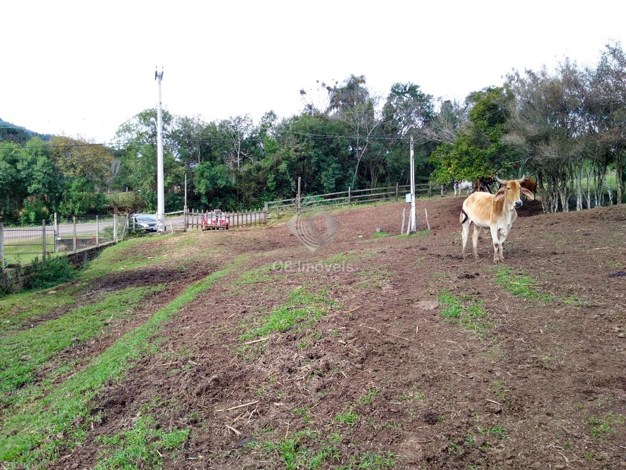 Fazenda à venda, 800000000m² - Foto 19