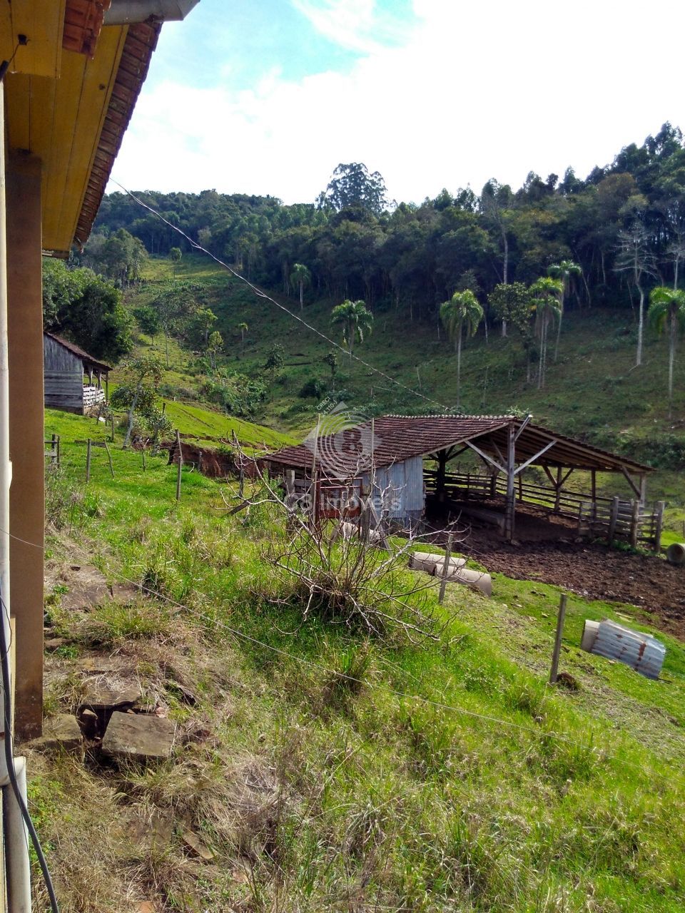 Fazenda à venda, 800000000m² - Foto 10