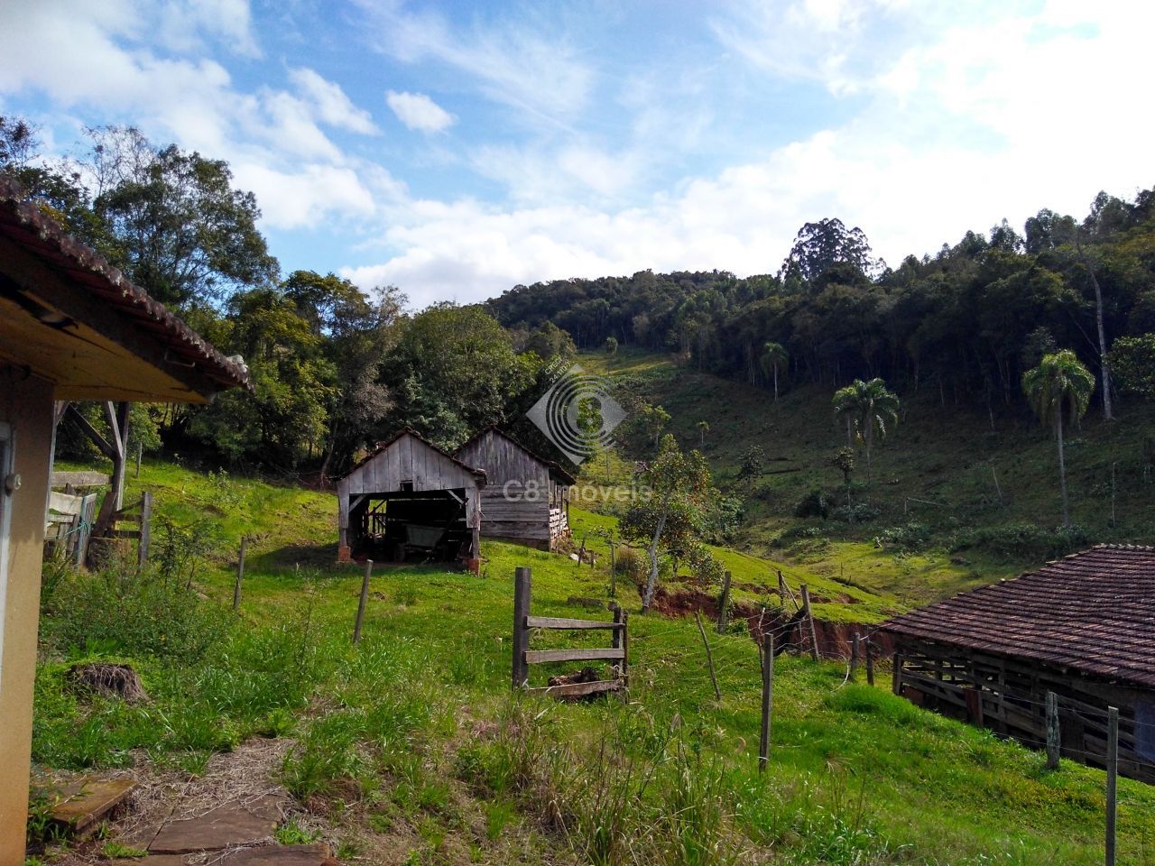 Fazenda à venda, 800000000m² - Foto 8