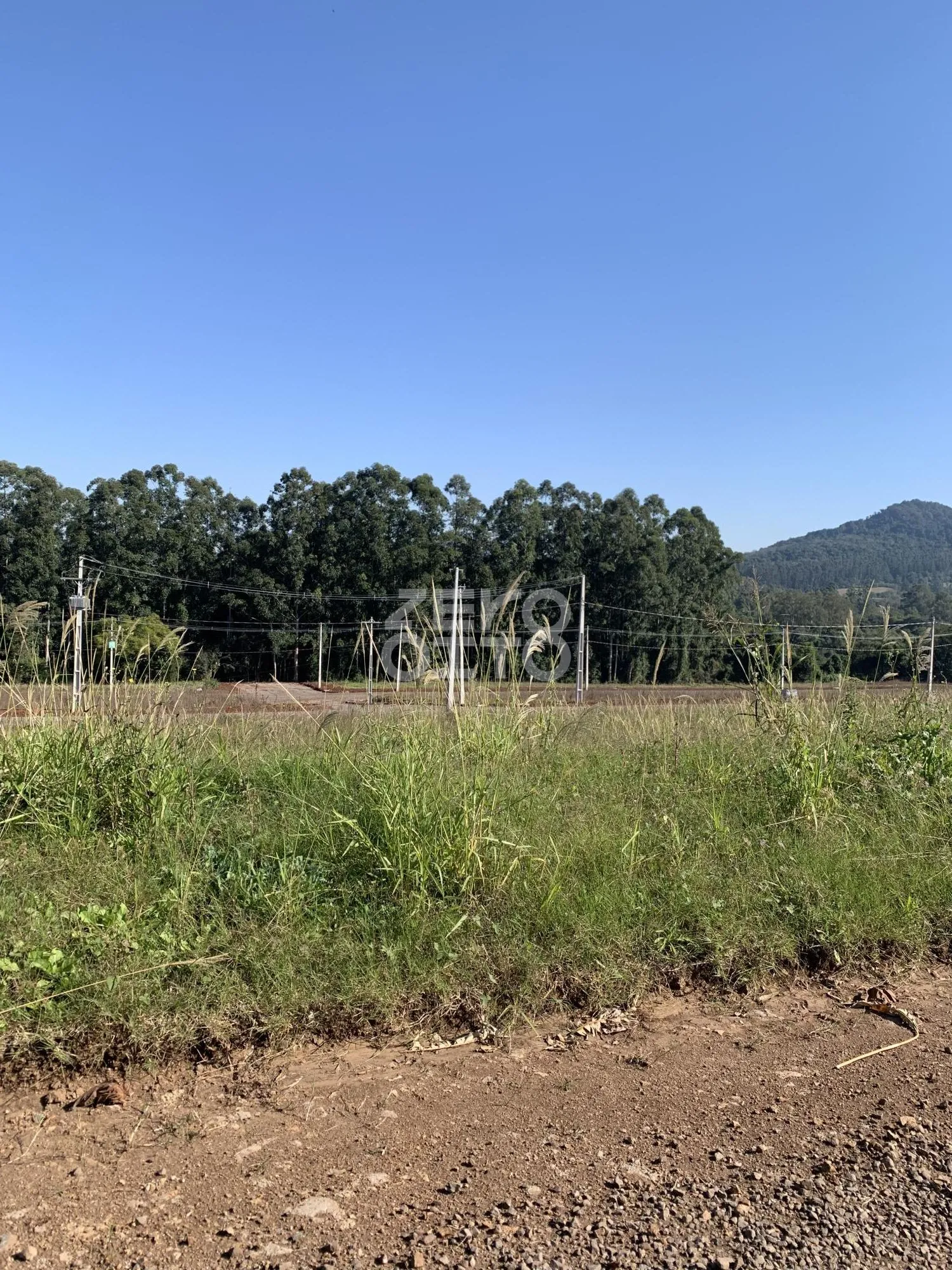 Terreno