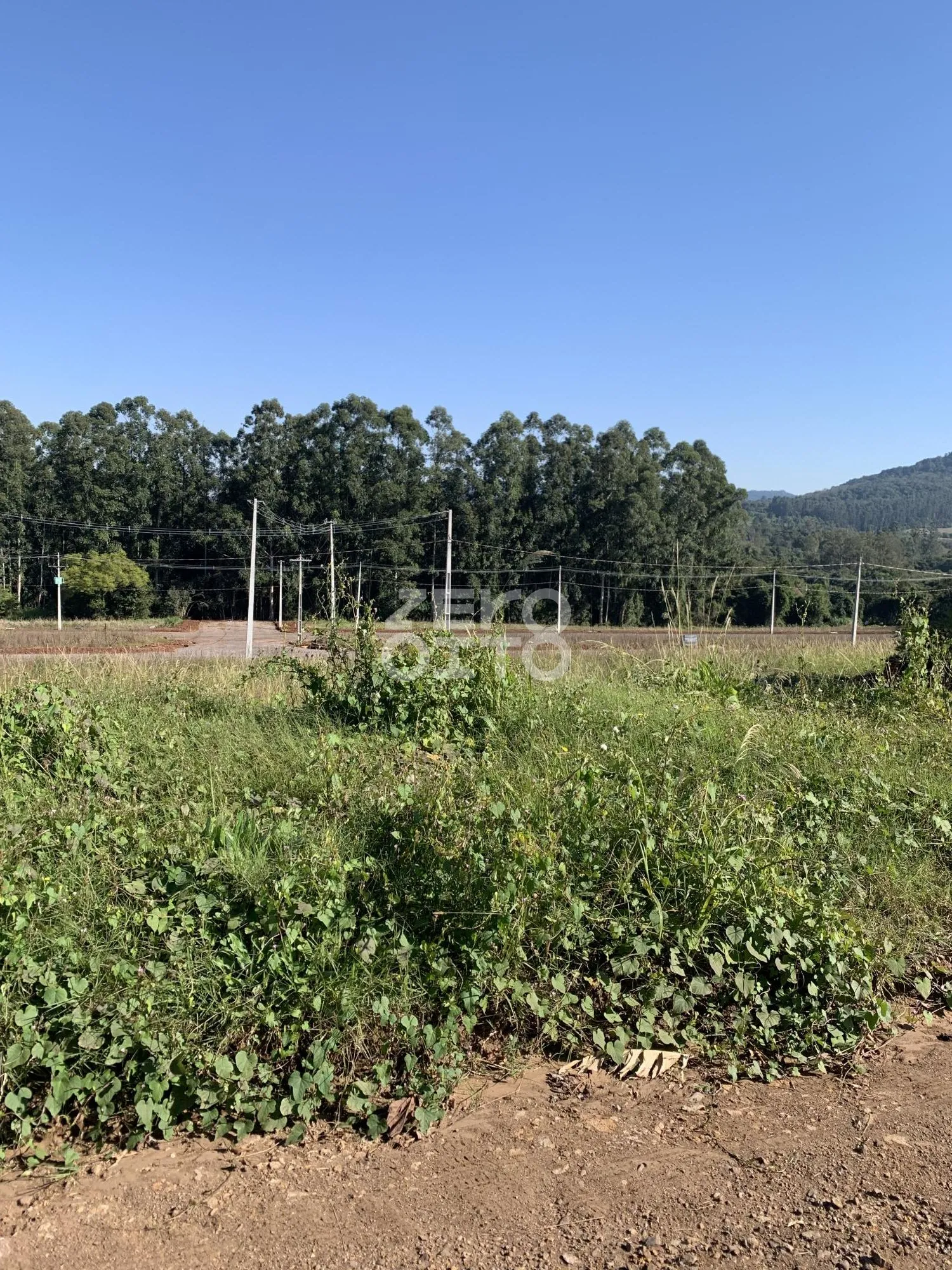 Terreno