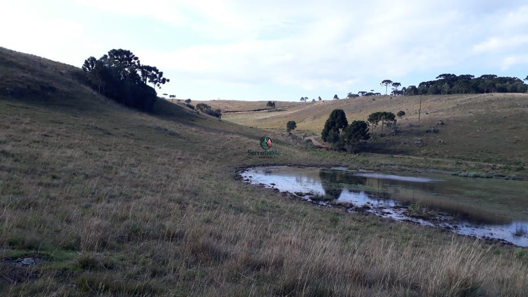 Loteamento e Condomínio à venda, 316000m² - Foto 18