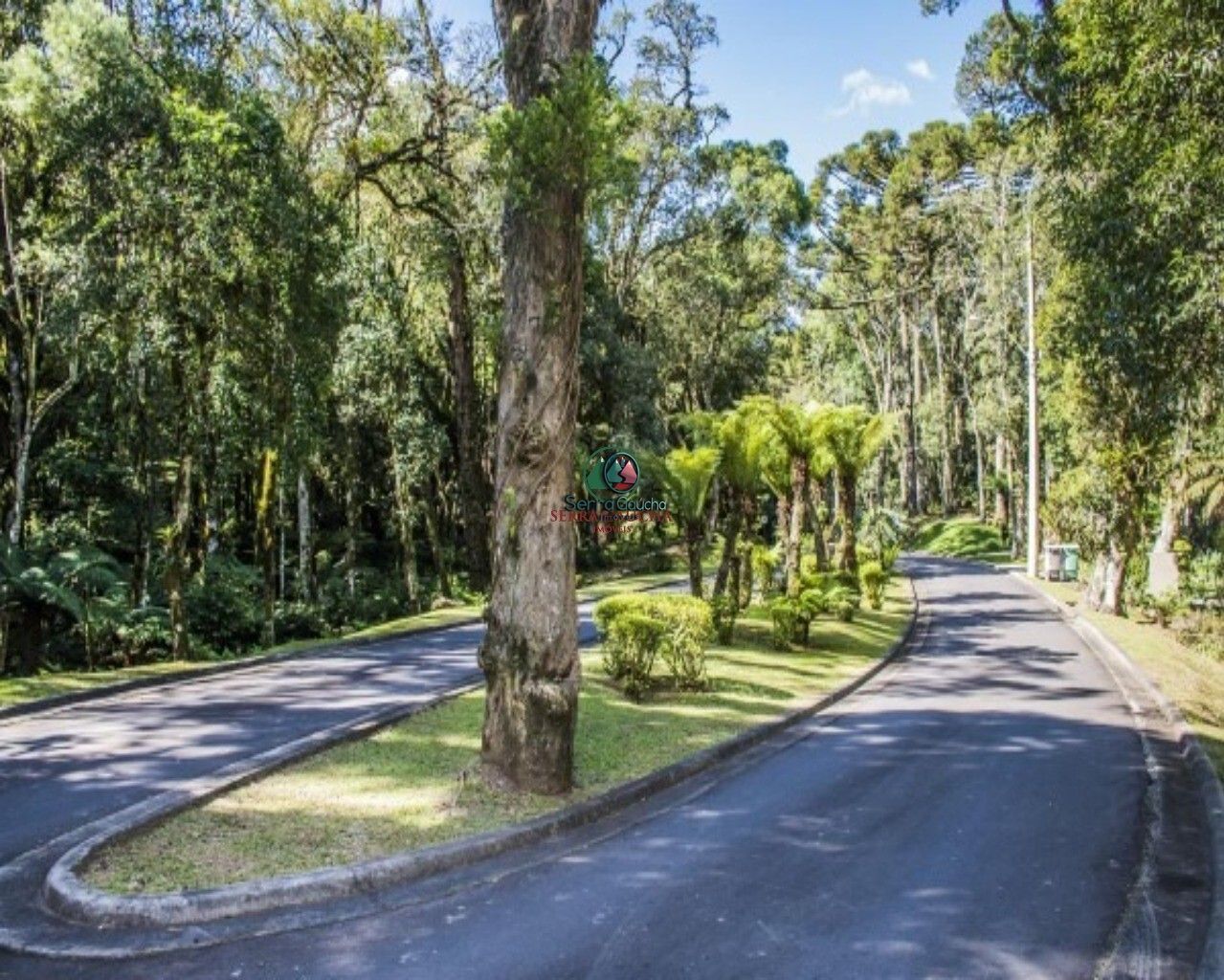 Terreno à venda, 1m² - Foto 23