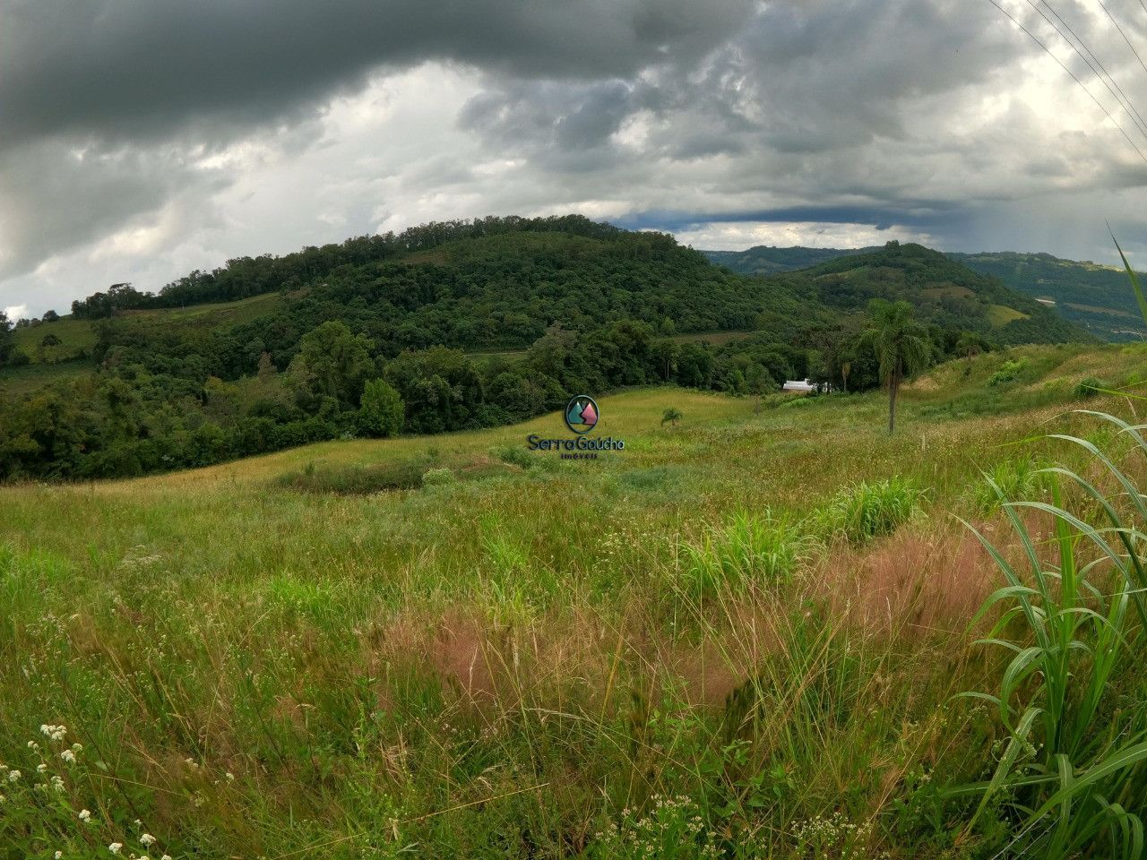 Fazenda à venda, 20000m² - Foto 5