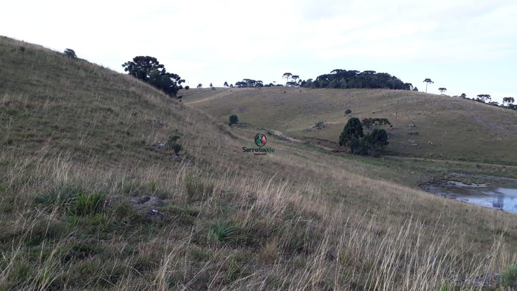 Loteamento e Condomínio à venda, 316000m² - Foto 16