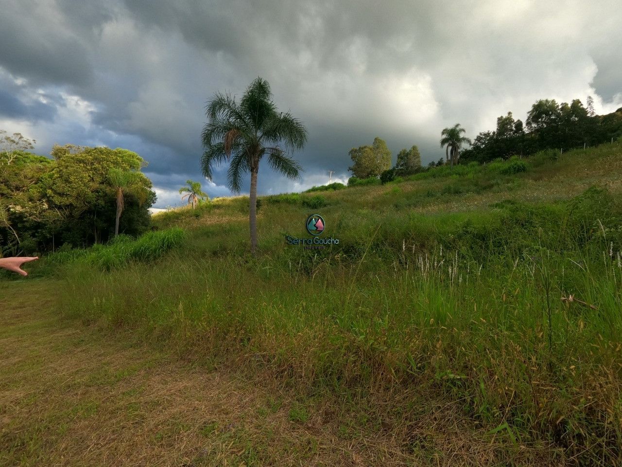 Fazenda à venda, 20000m² - Foto 11