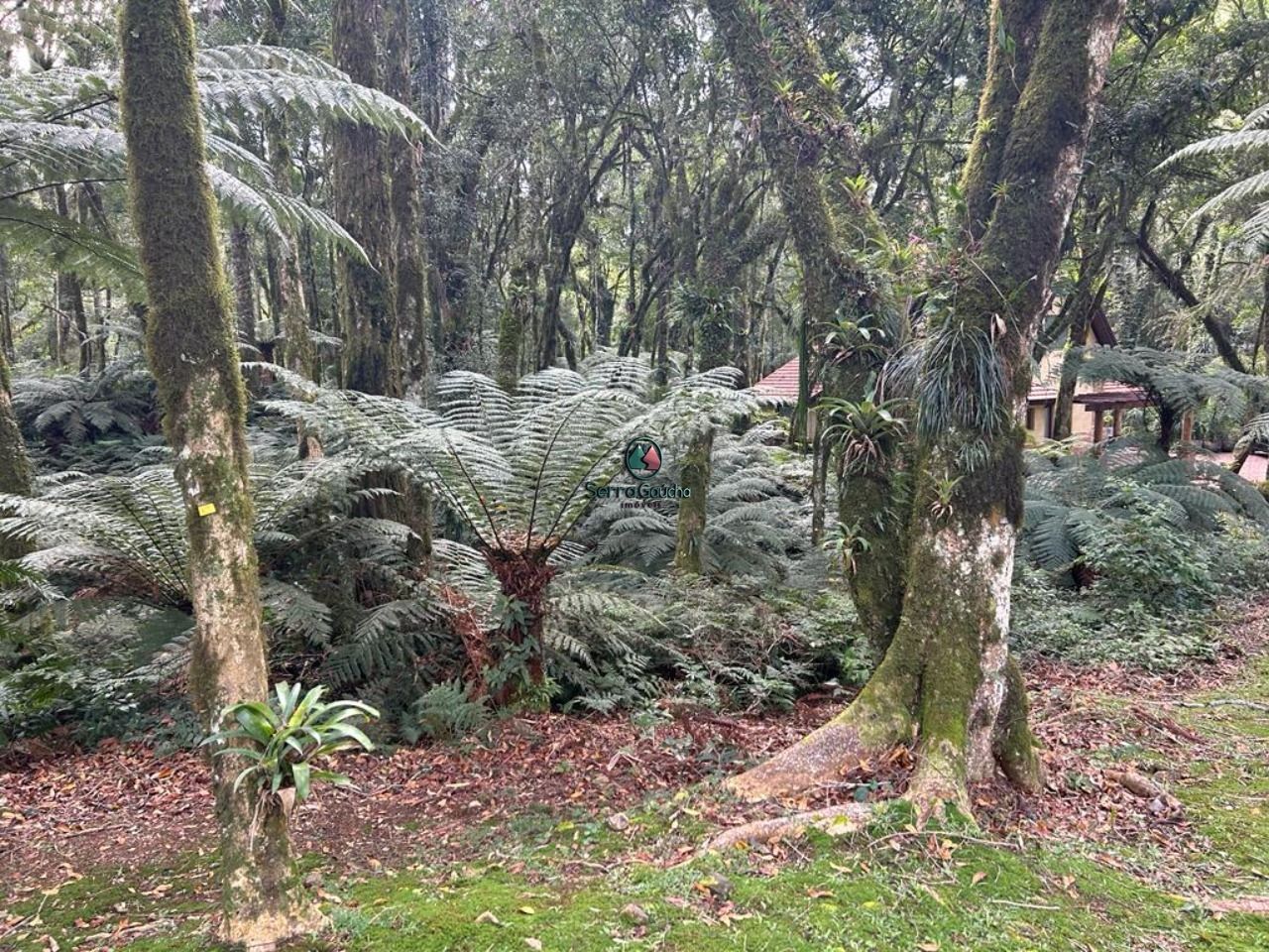 Terreno/Lote à venda  no Mato Queimado - Gramado, RS. Imóveis