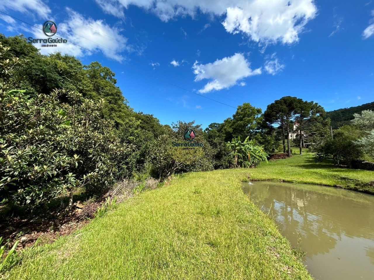 Fazenda à venda com 2 quartos, 120m² - Foto 11